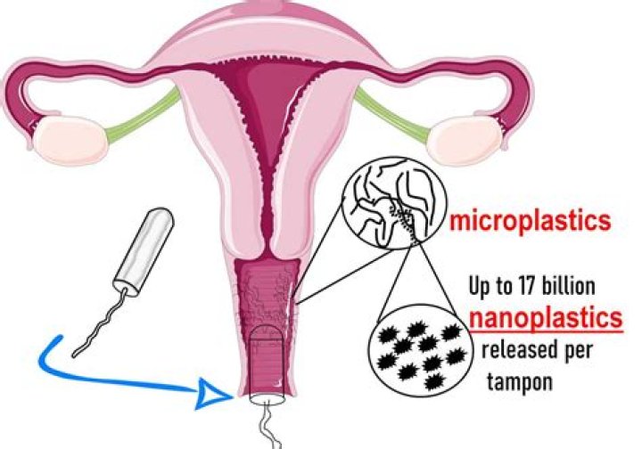 How Tampons Are Inserted: A Comprehensive Guide for Beginners