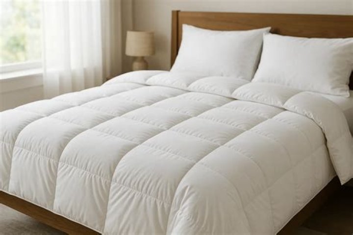 How to Choose Down Alternative Comforter: A Comprehensive Guide for Your Comfort