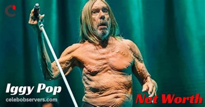 Iggy Pop Net Worth: A Deep Dive into the Godfather of Punk's Wealth
