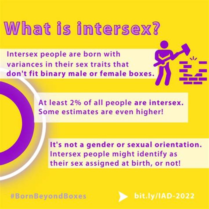 Intersex Porn: Perspectives, Representation, and Impact