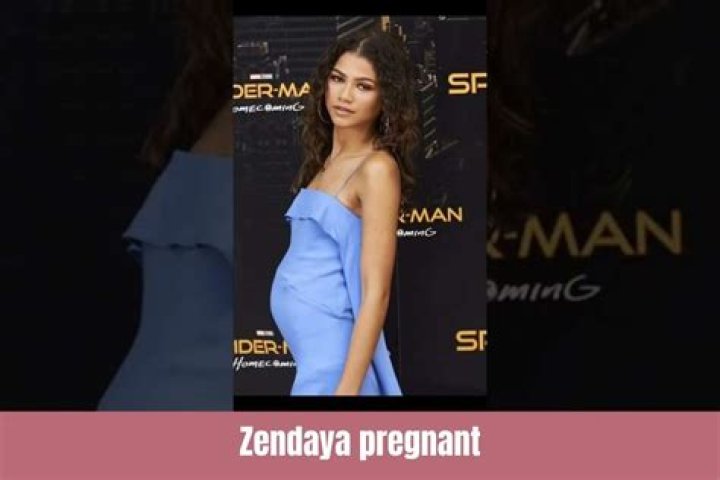 Is Zendaya Pregnant? Everything You Need to Know