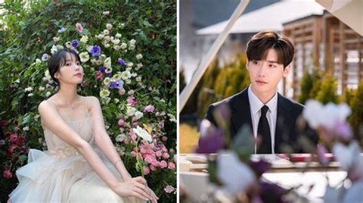 IU and Lee Jong Suk Married Date: Everything You Need to Know