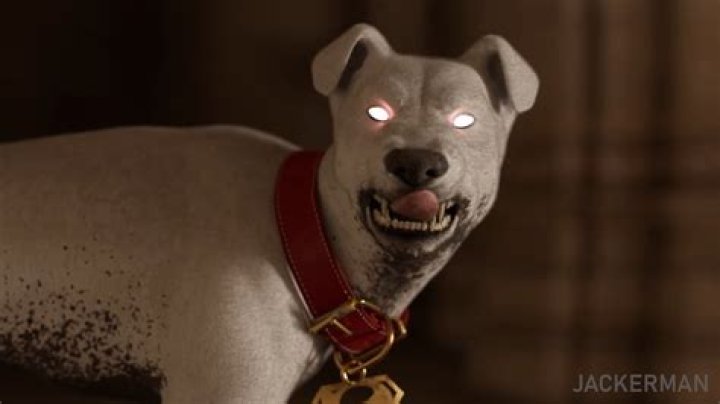 Discovering Jackermann: A Comprehensive Guide to the Rising Star