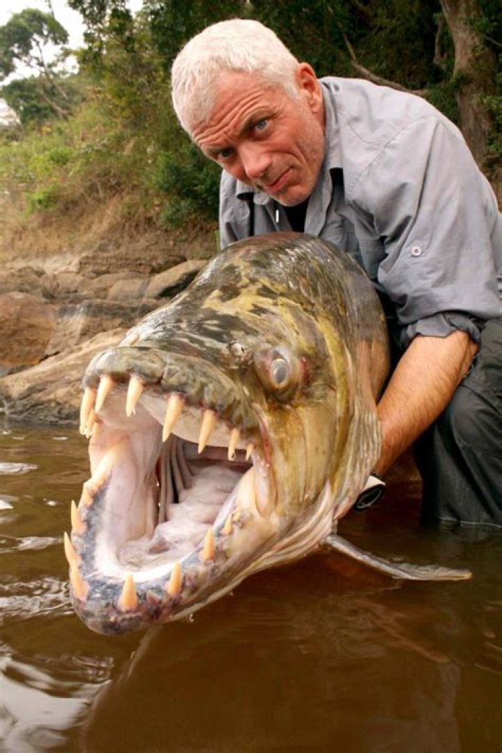 Jeremy Wade Died: Unraveling the Truth Behind the Rumors