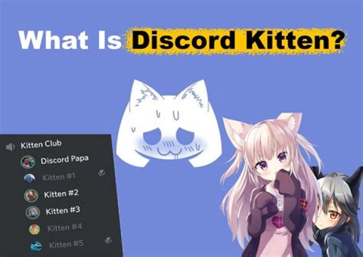 Kitten Discord: A Comprehensive Guide to the Popular Cat-Themed Server
