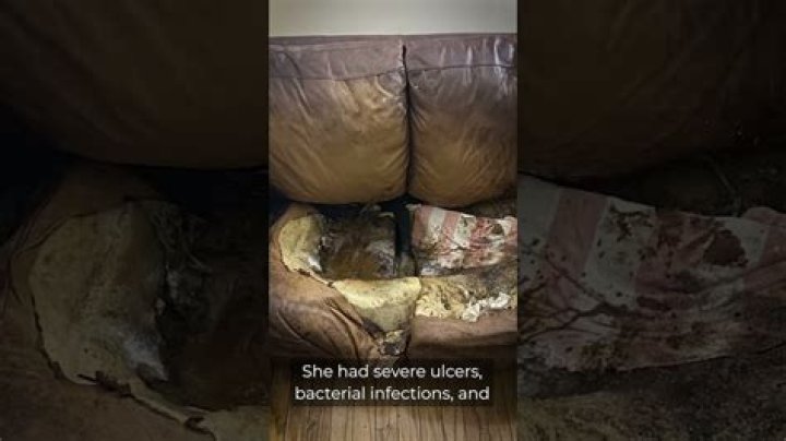 Lacey Fletcher Gore: A Deep Dive into the Tragic Story and Its Implications