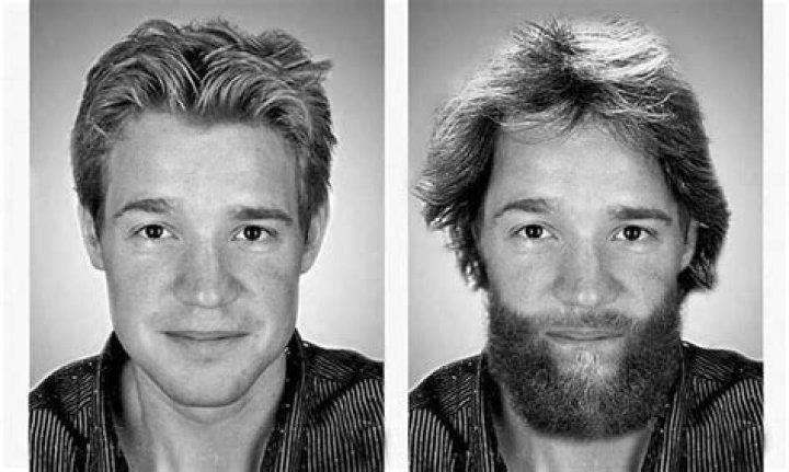 Lars Mittank Theories: Unraveling the Mysterious Disappearance