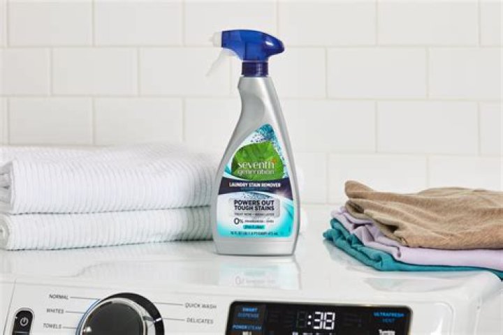 Top Laundry Stain Remover Solutions: Expert Tips for Spotless Clothes