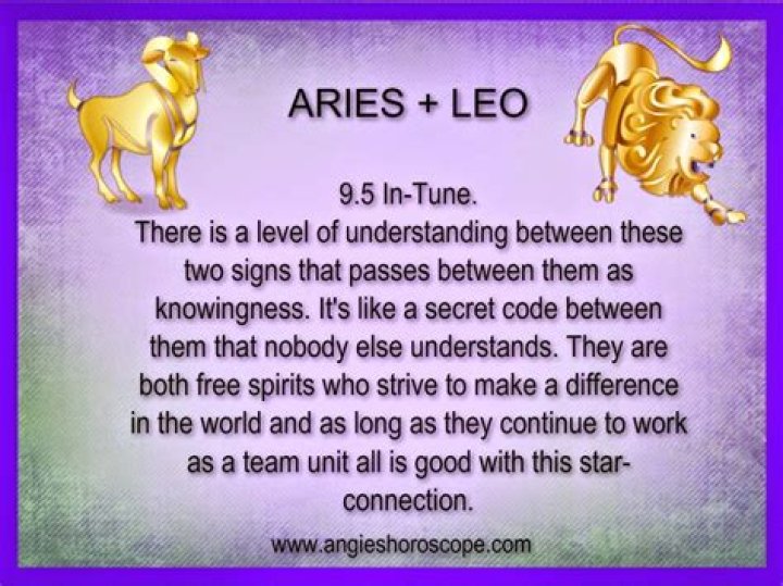 Leo and Aries: Exploring the Dynamic Zodiac Duo