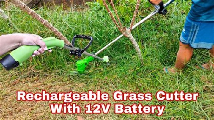 Little Elf Cutter Net Worth: A Comprehensive Guide to His Wealth, Career, and Achievements