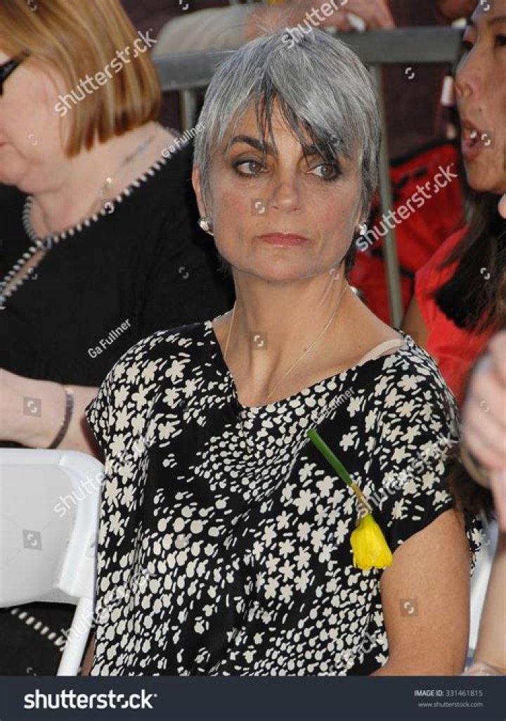 Liza Todd: A Comprehensive Guide to the Life and Career of the Talented Artist