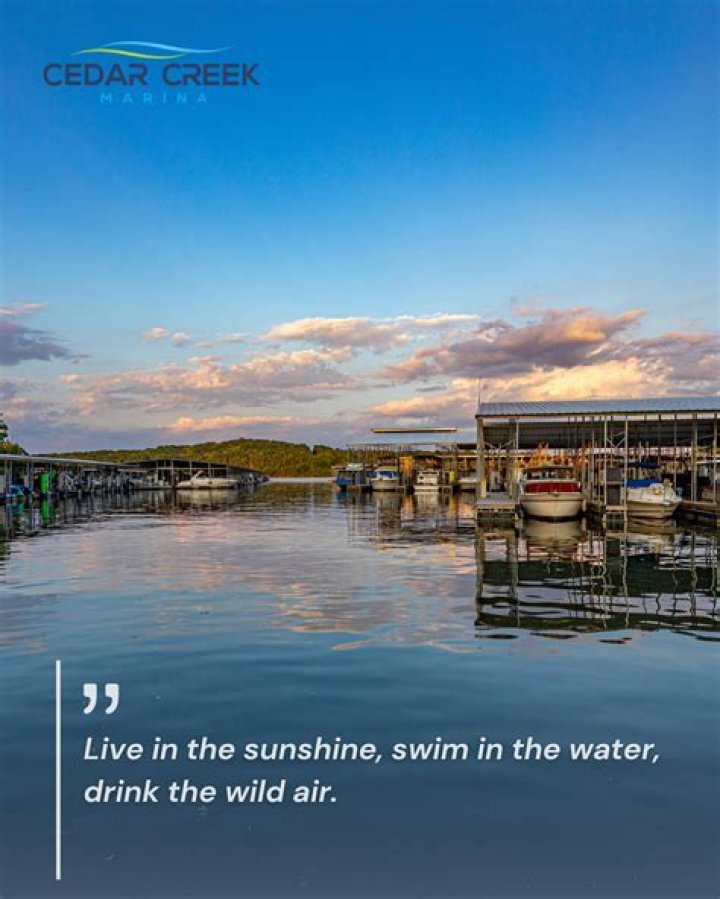 Discover the Charm of Local Businesses at Cedar Creek Lake