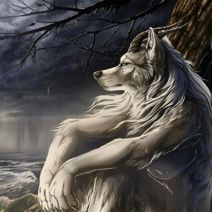 The Lone Wolf Meme: A Cultural Phenomenon Explained