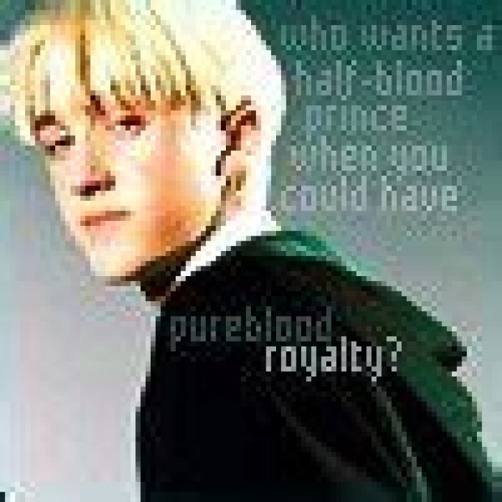 The Mystique and Legacy of the Malfoy Pureblood Lineage