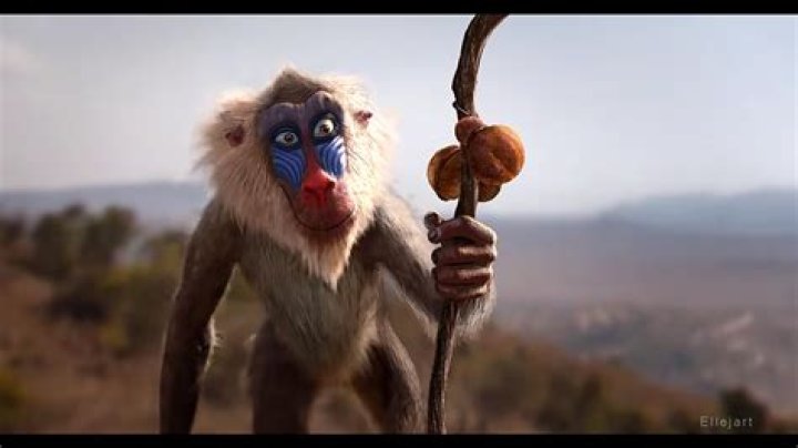 Mandrill from Lion King: Unveiling the Wisdom of Rafiki