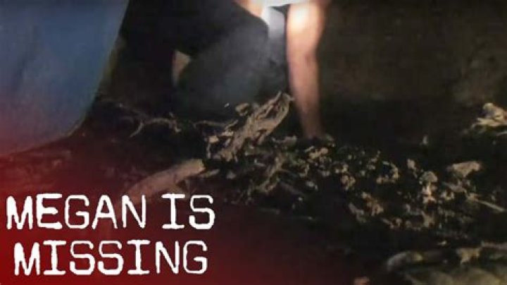 Megan Is Missing: Unraveling the Mystery Behind the Real Footage