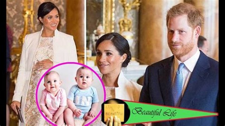 Meghan Markle Twins: A Complete Guide to the Royal Siblings