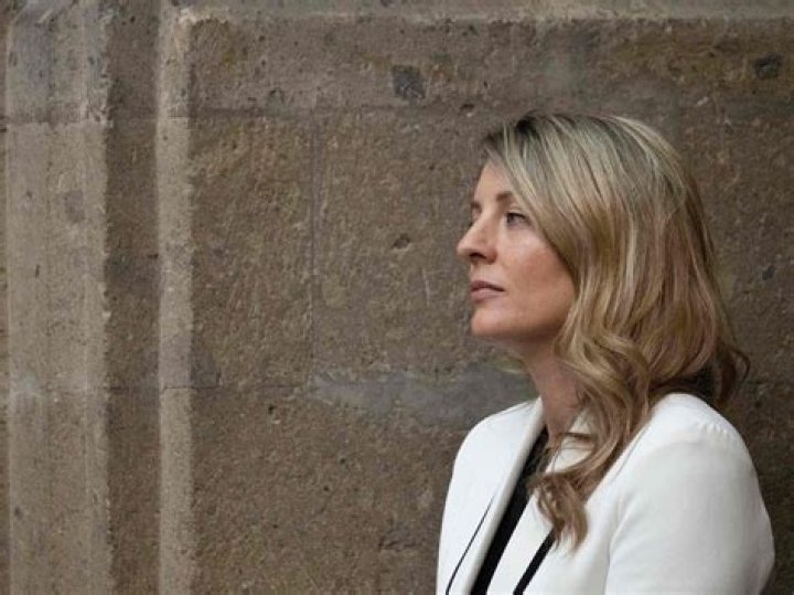 Melanie Joly's Daughter Romy: A Glimpse into Her Life and Family