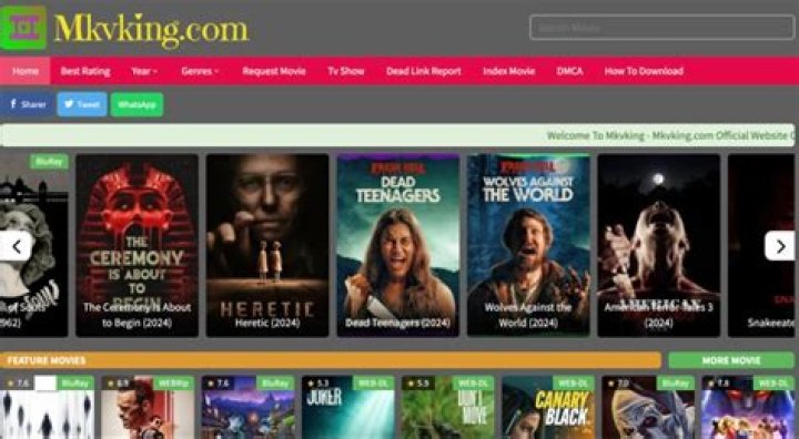 MKVKing Alternative: Discover the Best Sites to Stream and Download Movies