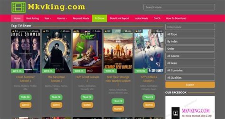 MKVKing: The Ultimate Guide to Streaming High-Quality Movies and TV Shows