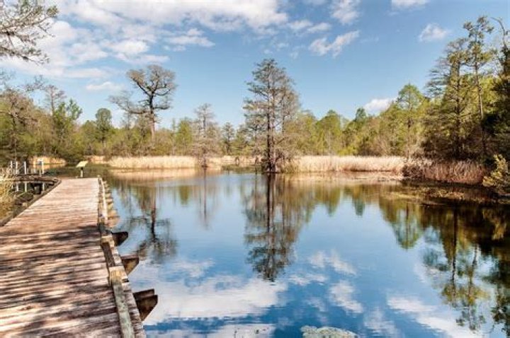 Discovering Moncks Corner: A Hidden Gem in South Carolina