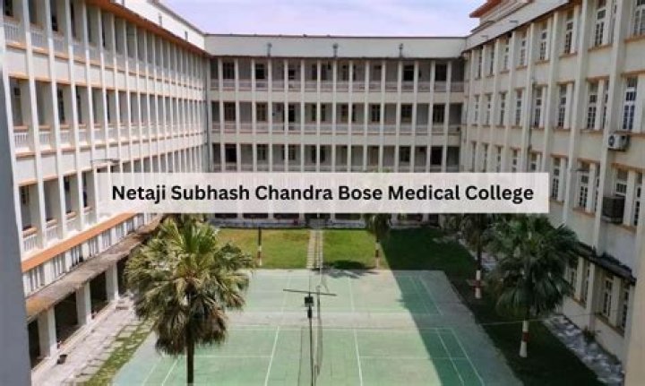 Netaji Subhash College of Nursing Cost: A Comprehensive Guide for Aspiring Nurses