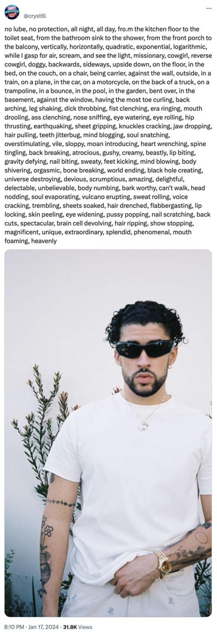 No Lube Copypasta: Understanding the Internet Phenomenon and Its Impact