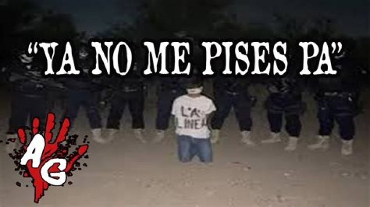 No Me Pises Pa Gore: A Deep Dive into Its Meaning, Context, and Cultural Impact