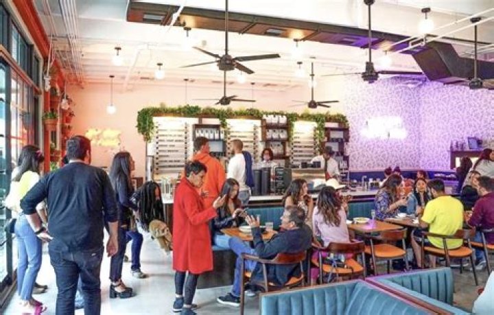 Exploring the Intricacies of Novela Cafe Social: A Cultural Phenomenon