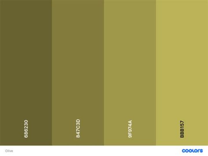 The Timeless Elegance of Olive Color: A Comprehensive Guide
