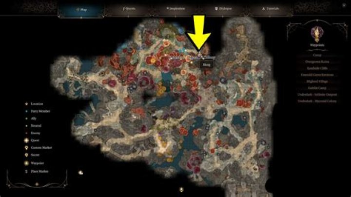 Omeluum: The Ultimate Guide to Understanding and Mastering This Trending Topic