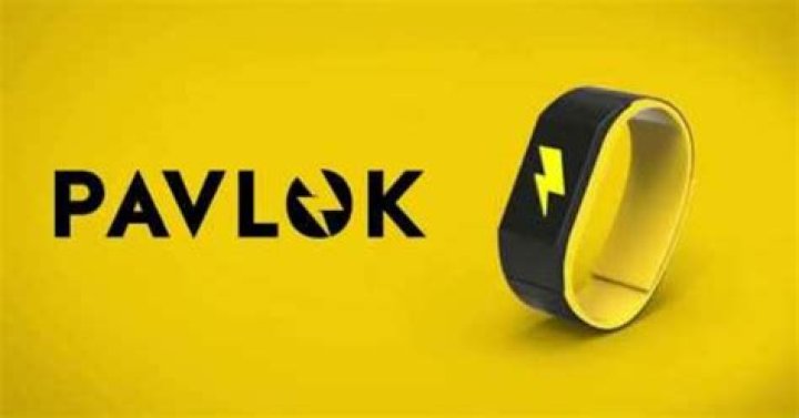 Pavlok Net Worth 2023: A Comprehensive Guide to the Wearable Tech Revolution