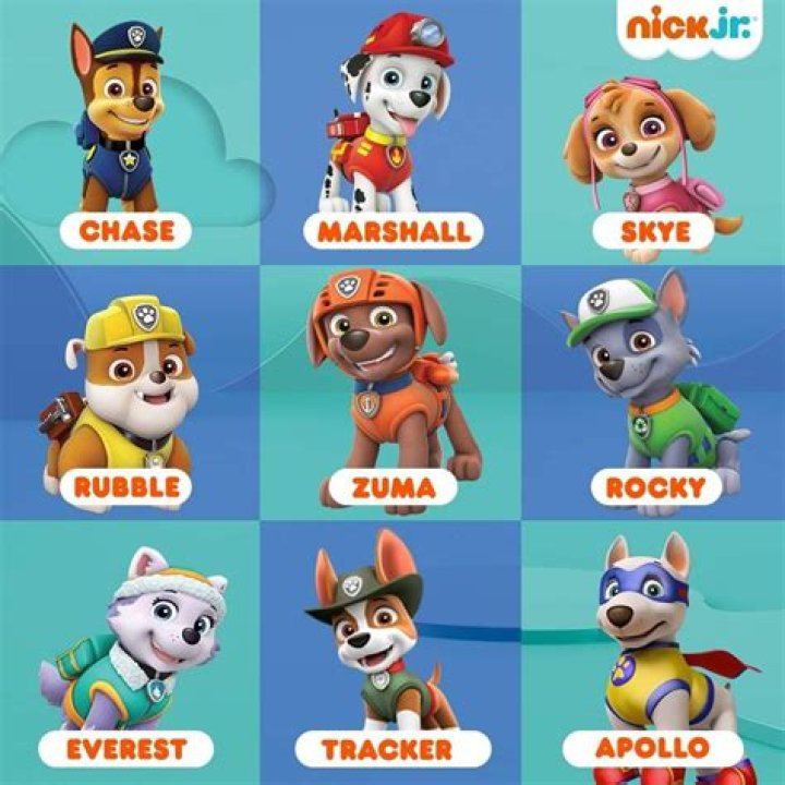 Paw Patrol Characters Names: Everything You Need to Know About the Beloved Heroes