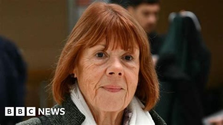 Pelicot Case Alerts Trump Era: A Deep Dive into its Impact and Controversy