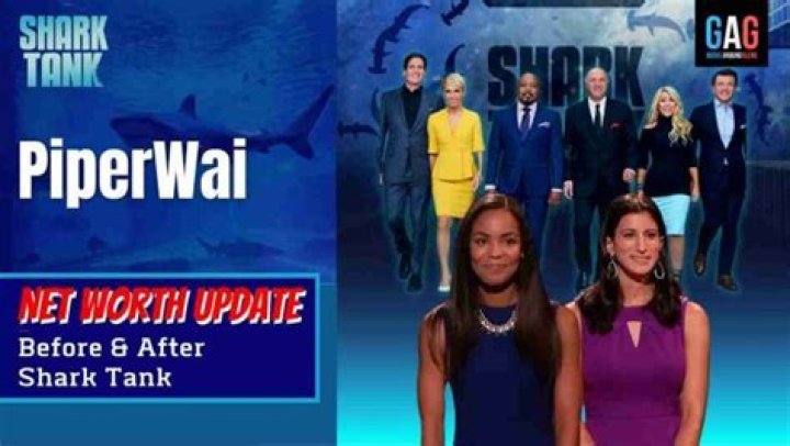 PiperWai Net Worth: Unveiling the Success Story of a Natural Deodorant Brand
