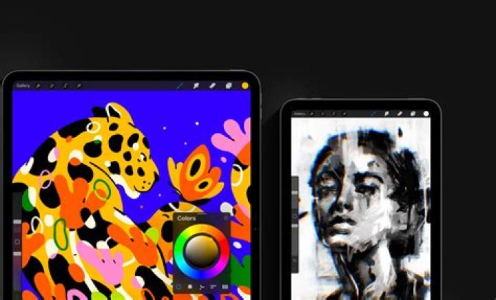 Mastering Procreate: A Comprehensive Guide to Digital Art Creation