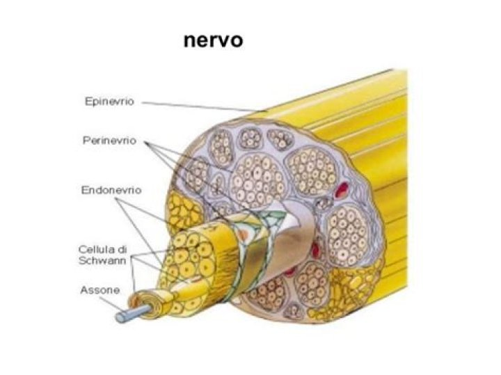 Ultimate Prone Video Guide: Exploring All You Need to Know