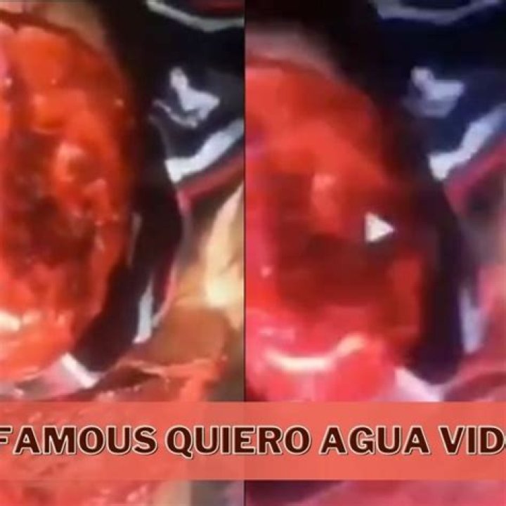 Quiero Agua Video: The Viral Sensation Explained