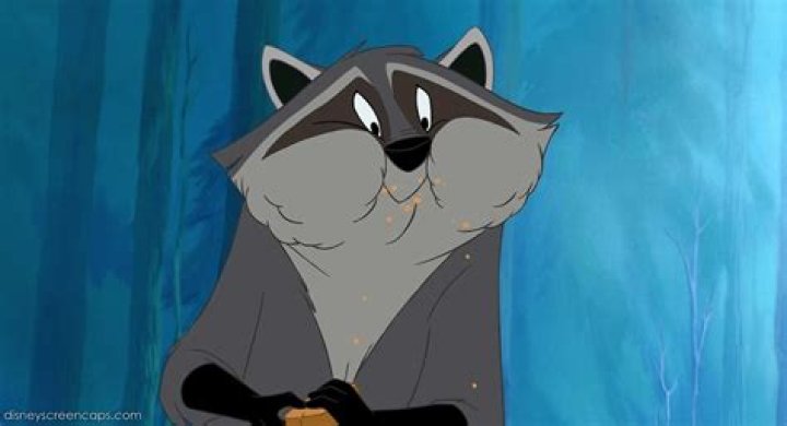 Raccoon in Pocahontas Name: Everything You Need to Know About Meeko