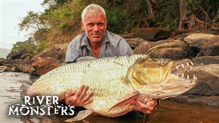 River Monsters: Unveiling the Mysteries of the World's Largest Freshwater Predators