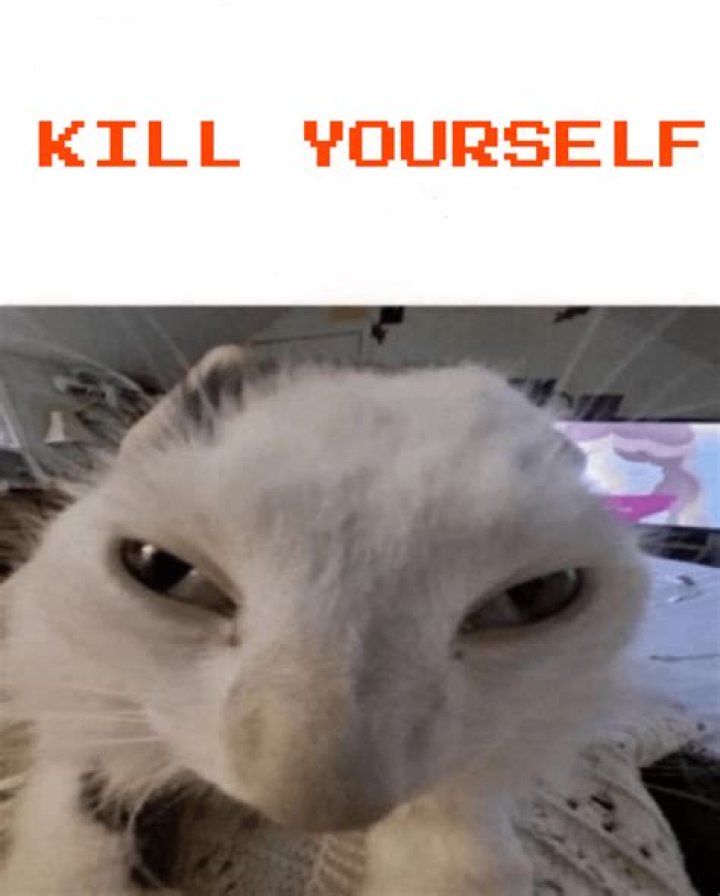 Exploring the World of Rule34 Skibidi: A Comprehensive Guide