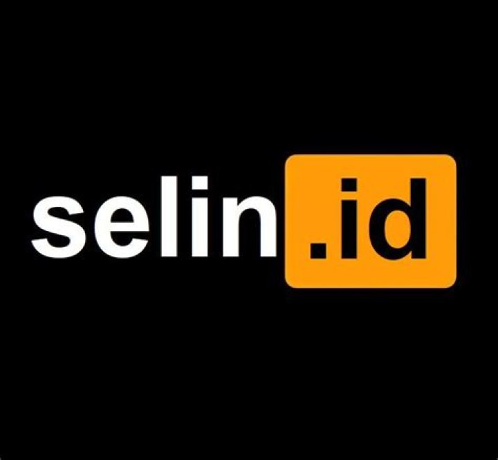 Selin.id: A Comprehensive Guide to Indonesia's Rising Online Platform