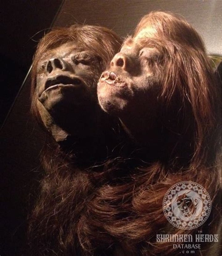 Shrunken Heads: The Fascinating History and Cultural Significance