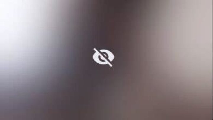 Skirby Dog: The Ultimate Guide to This Lovable Canine Companion