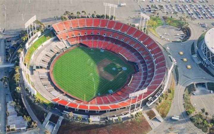 SPCA of Oakland: A Beacon of Compassion for Animals in Need