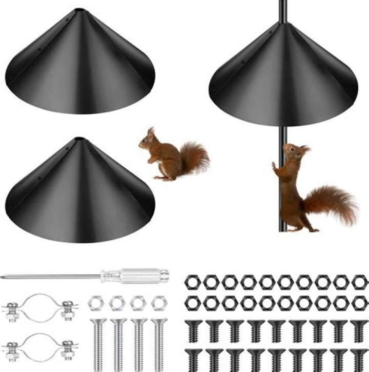 Ultimate Guide to Squirrel Baffles: Protect Your Bird Feeders Effectively