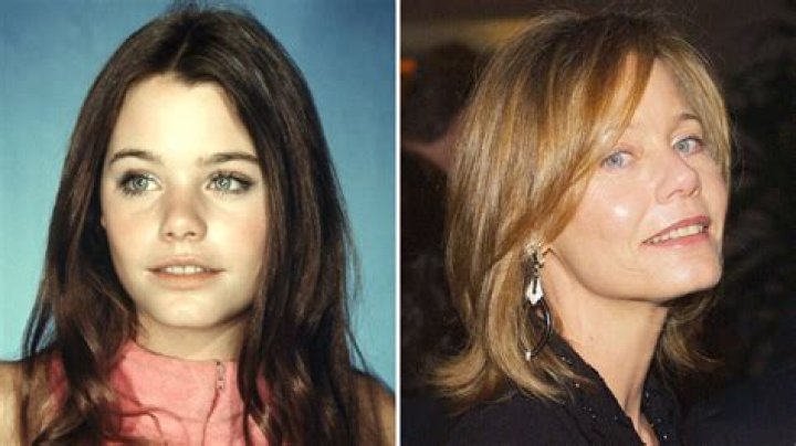Susan Dey Now: A Look into Her Life, Career, and Legacy