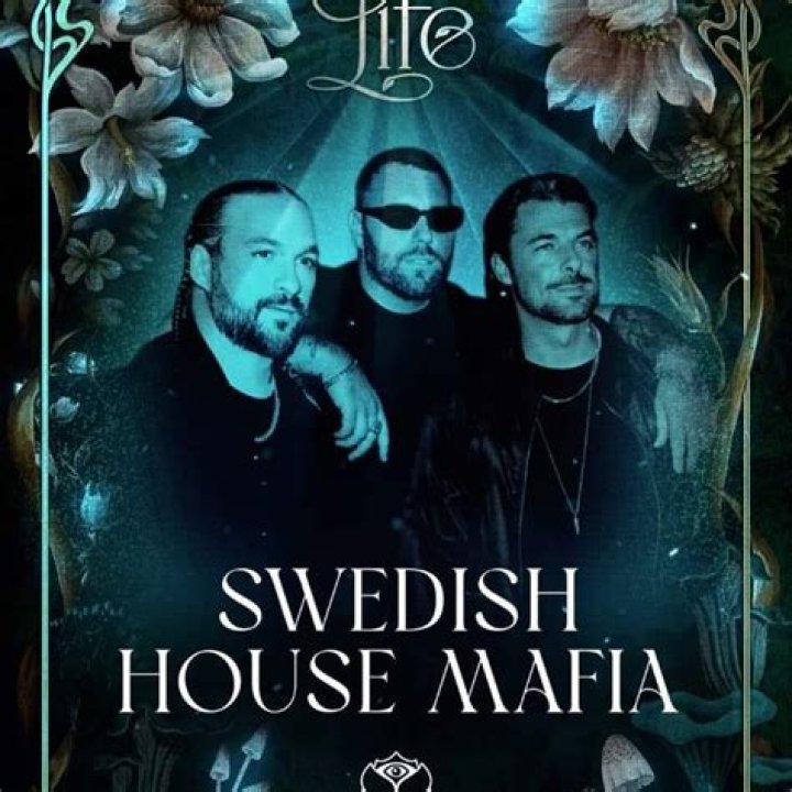 Swedish House Mafia Net Worth: Unveiling the Wealth of the Legendary DJ Trio