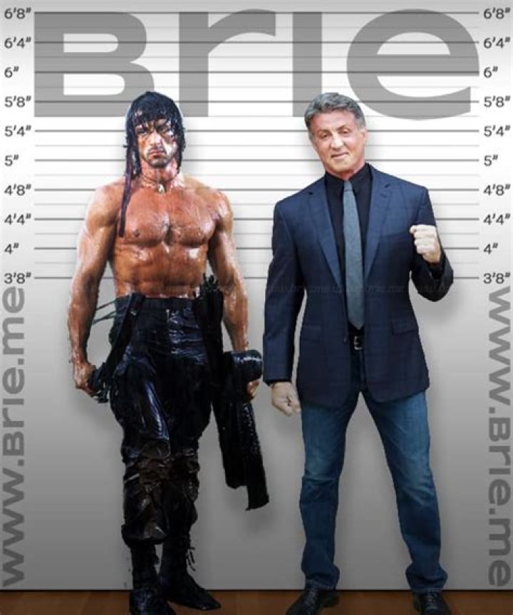 Sylvester Stallone Height: Unveiling the Truth Behind the Iconic Action Star's Stature