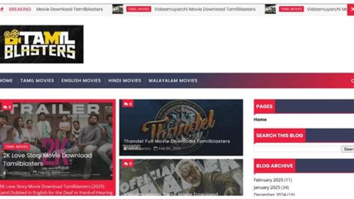 TamilBlasters Download: A Comprehensive Guide to Accessing Tamil Movies and TV Shows Safely
